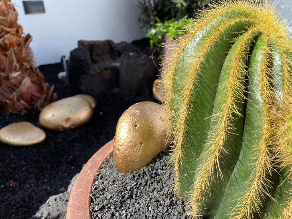 Apartamento El Jable 阿雷西费 外观 照片